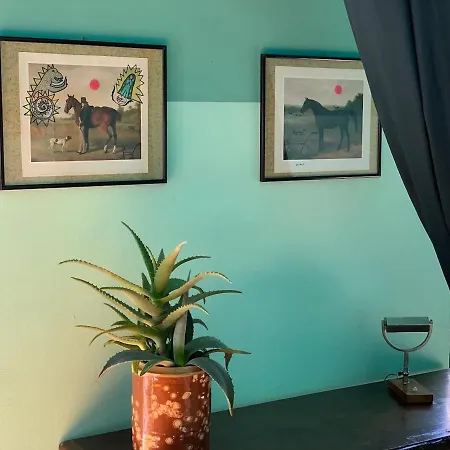 La Bougainville Tuscan Riviera B&B
